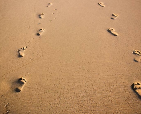 customer journey